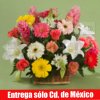 Canasto Multicolor